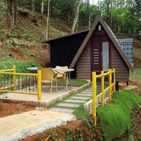 Garden Of Eden-Thottam Munnar-Hiking And Camping Anachal Екстер'єр фото