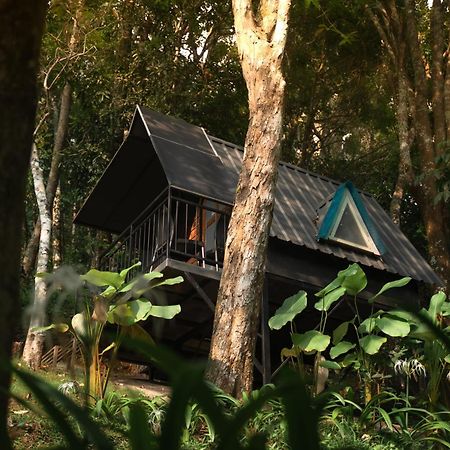 Garden Of Eden-Thottam Munnar-Hiking And Camping Anachal Екстер'єр фото