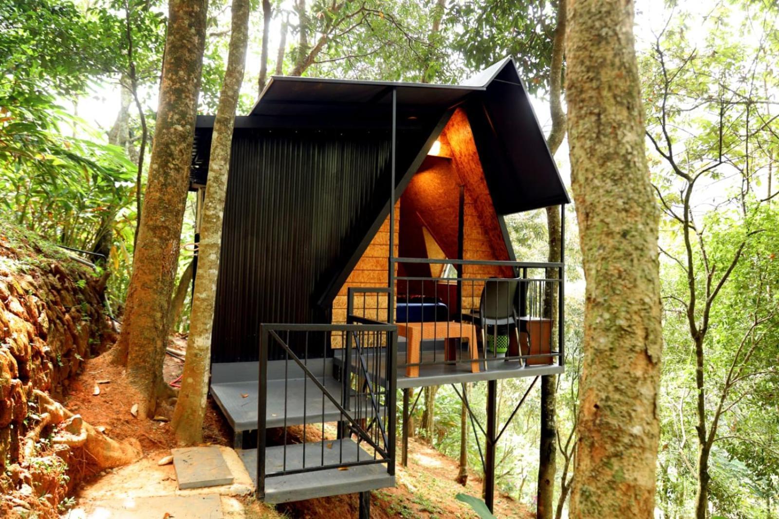 Garden Of Eden-Thottam Munnar-Hiking And Camping Anachal Екстер'єр фото