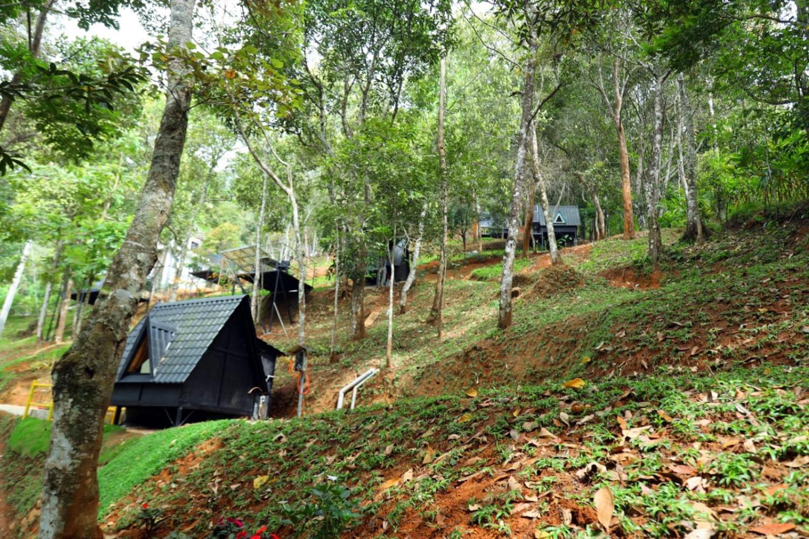 Garden Of Eden-Thottam Munnar-Hiking And Camping Anachal Екстер'єр фото