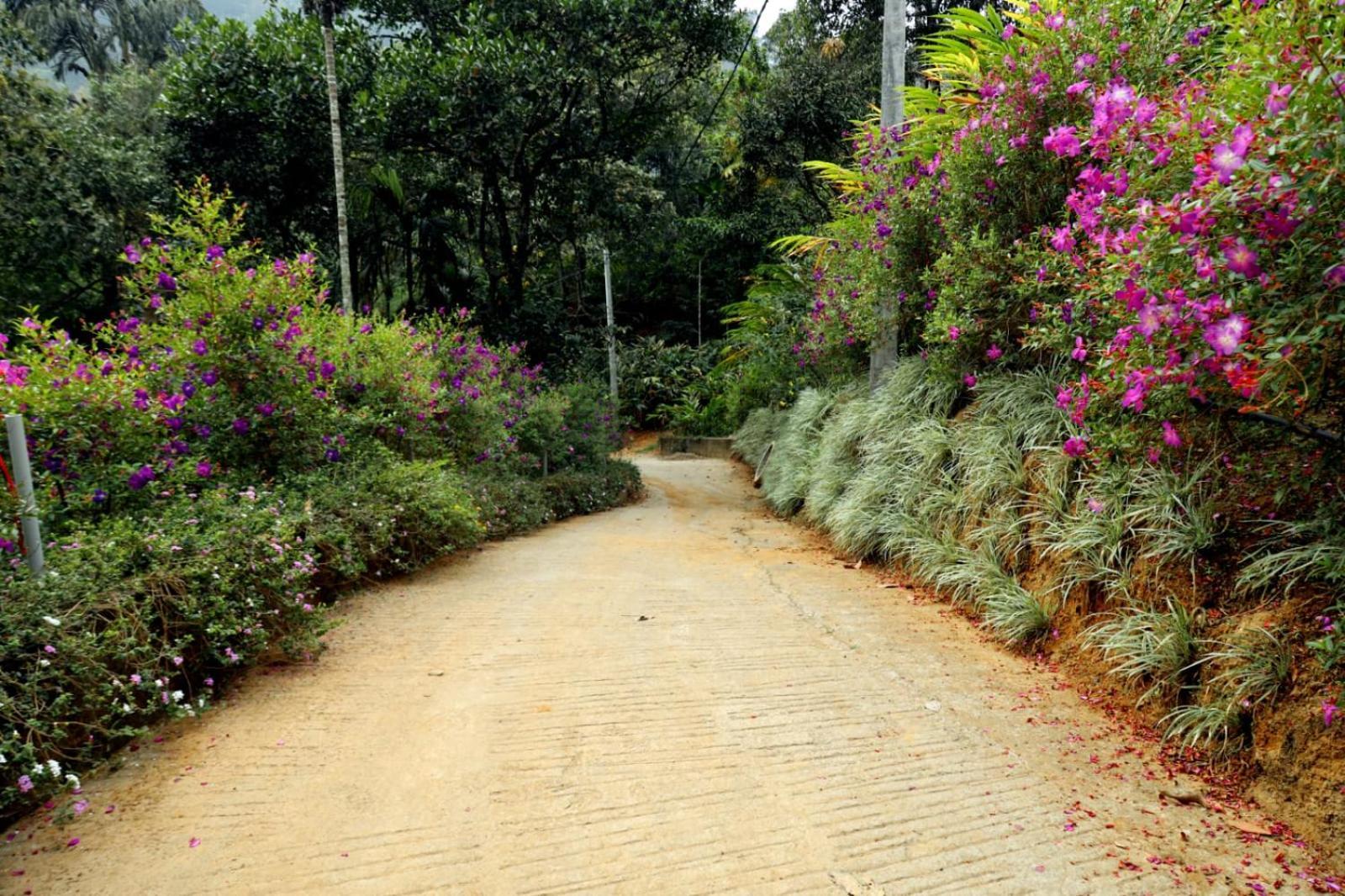 Garden Of Eden-Thottam Munnar-Hiking And Camping Anachal Екстер'єр фото