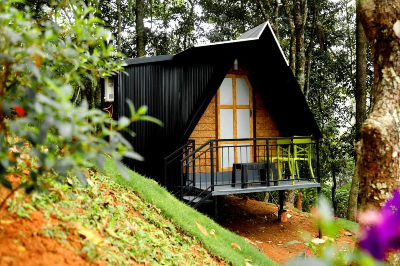 Garden Of Eden-Thottam Munnar-Hiking And Camping Anachal Екстер'єр фото