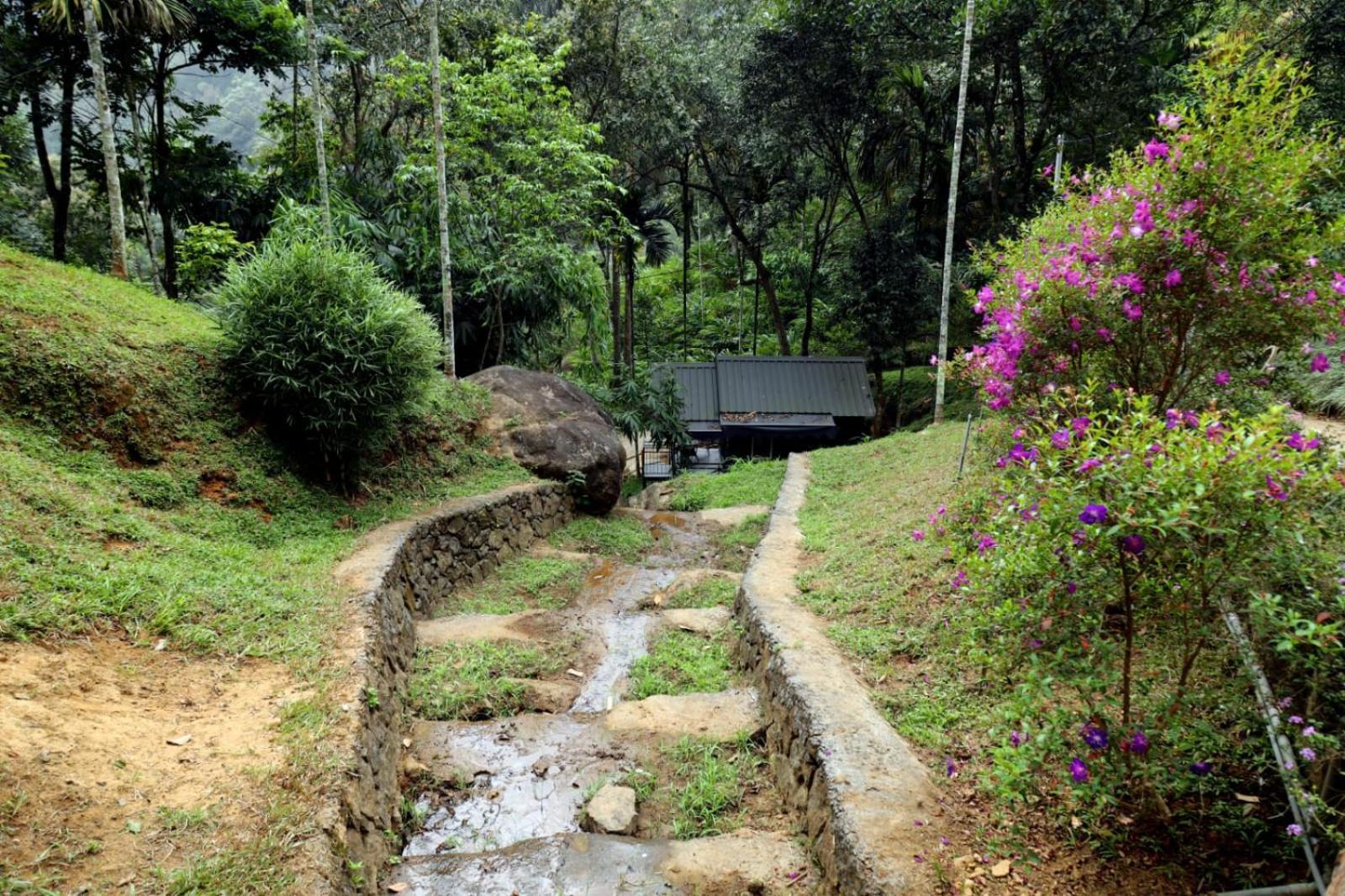 Garden Of Eden-Thottam Munnar-Hiking And Camping Anachal Екстер'єр фото