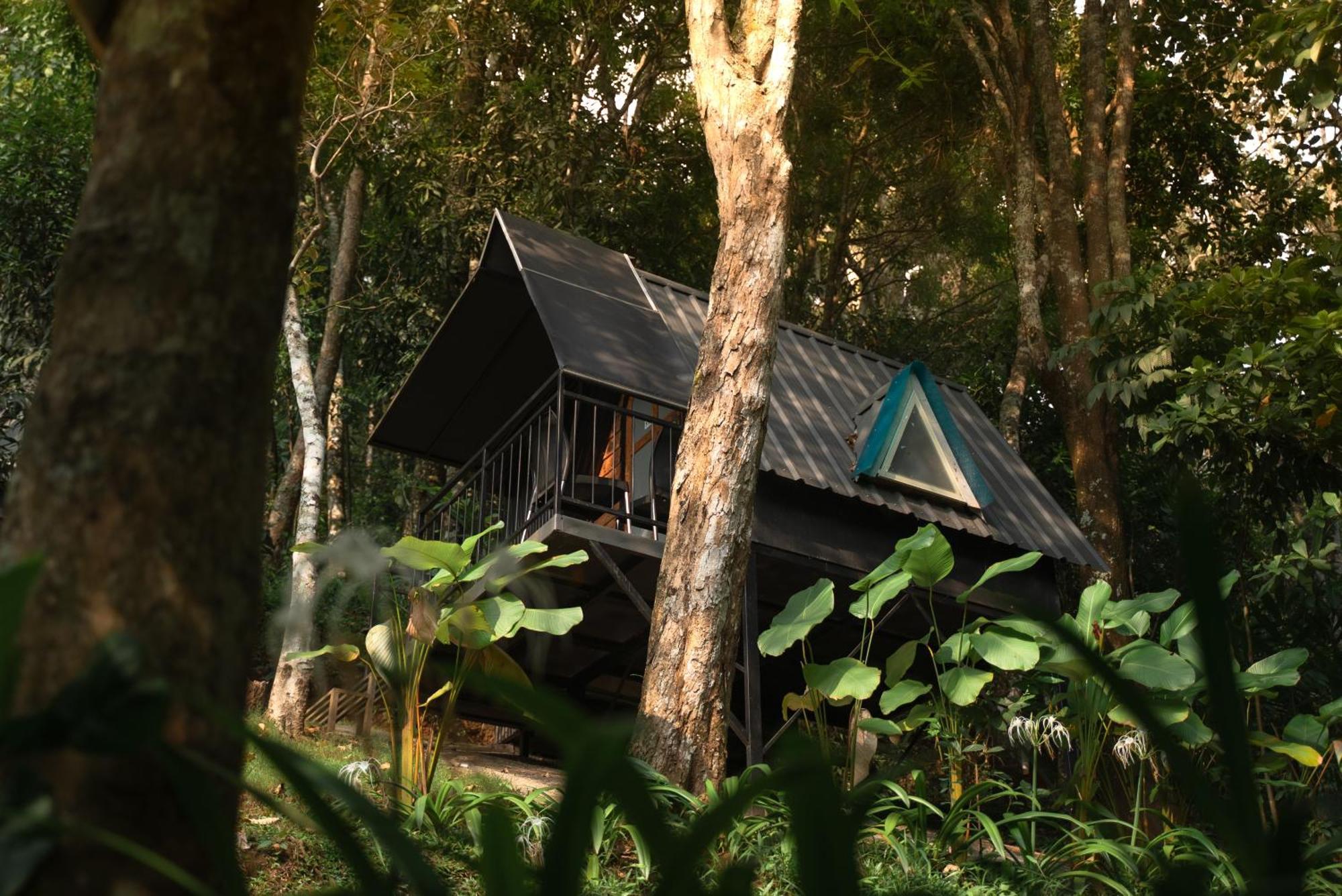 Garden Of Eden-Thottam Munnar-Hiking And Camping Anachal Екстер'єр фото
