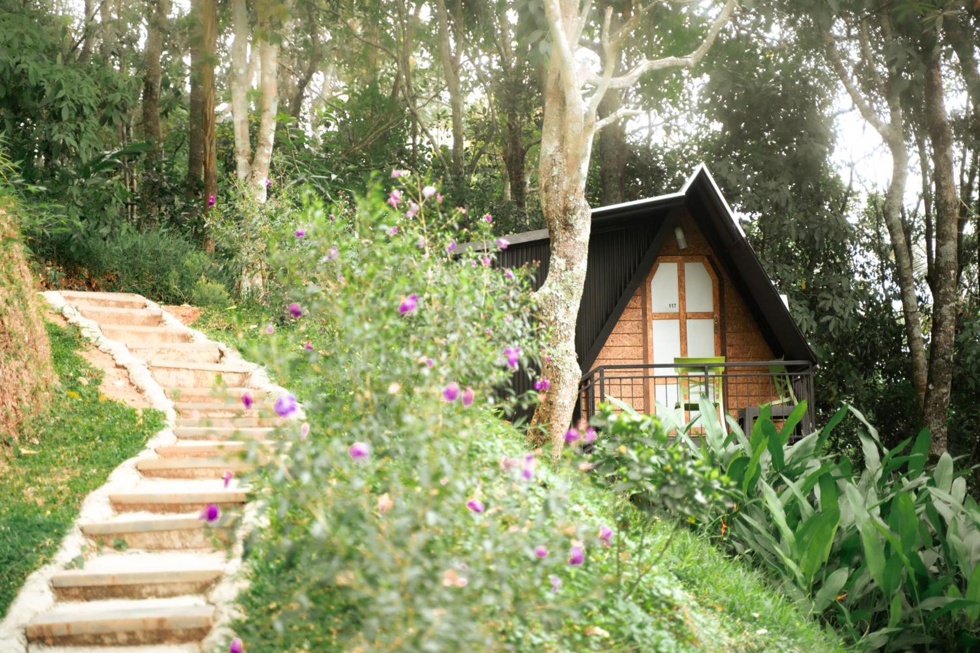 Garden Of Eden-Thottam Munnar-Hiking And Camping Anachal Екстер'єр фото