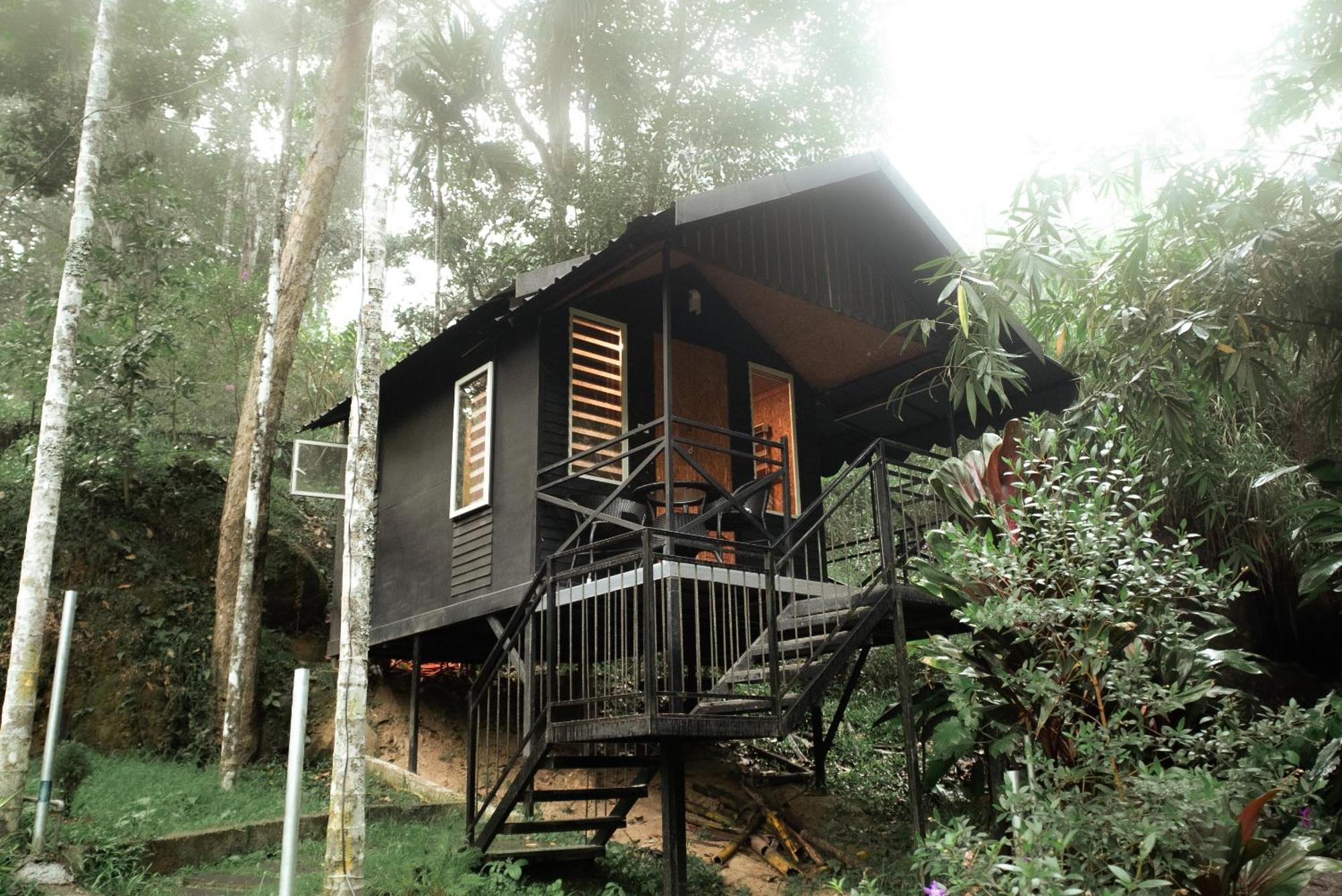 Garden Of Eden-Thottam Munnar-Hiking And Camping Anachal Екстер'єр фото