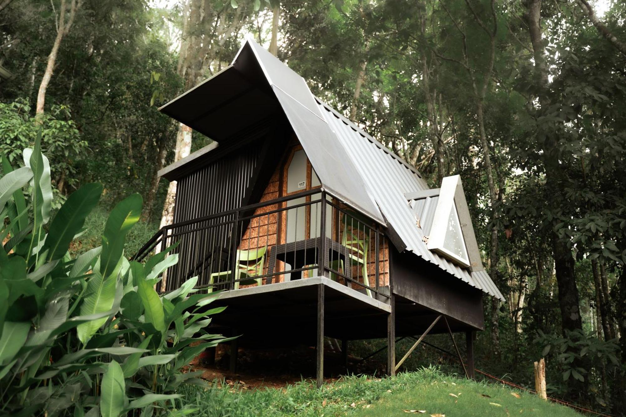 Garden Of Eden-Thottam Munnar-Hiking And Camping Anachal Екстер'єр фото