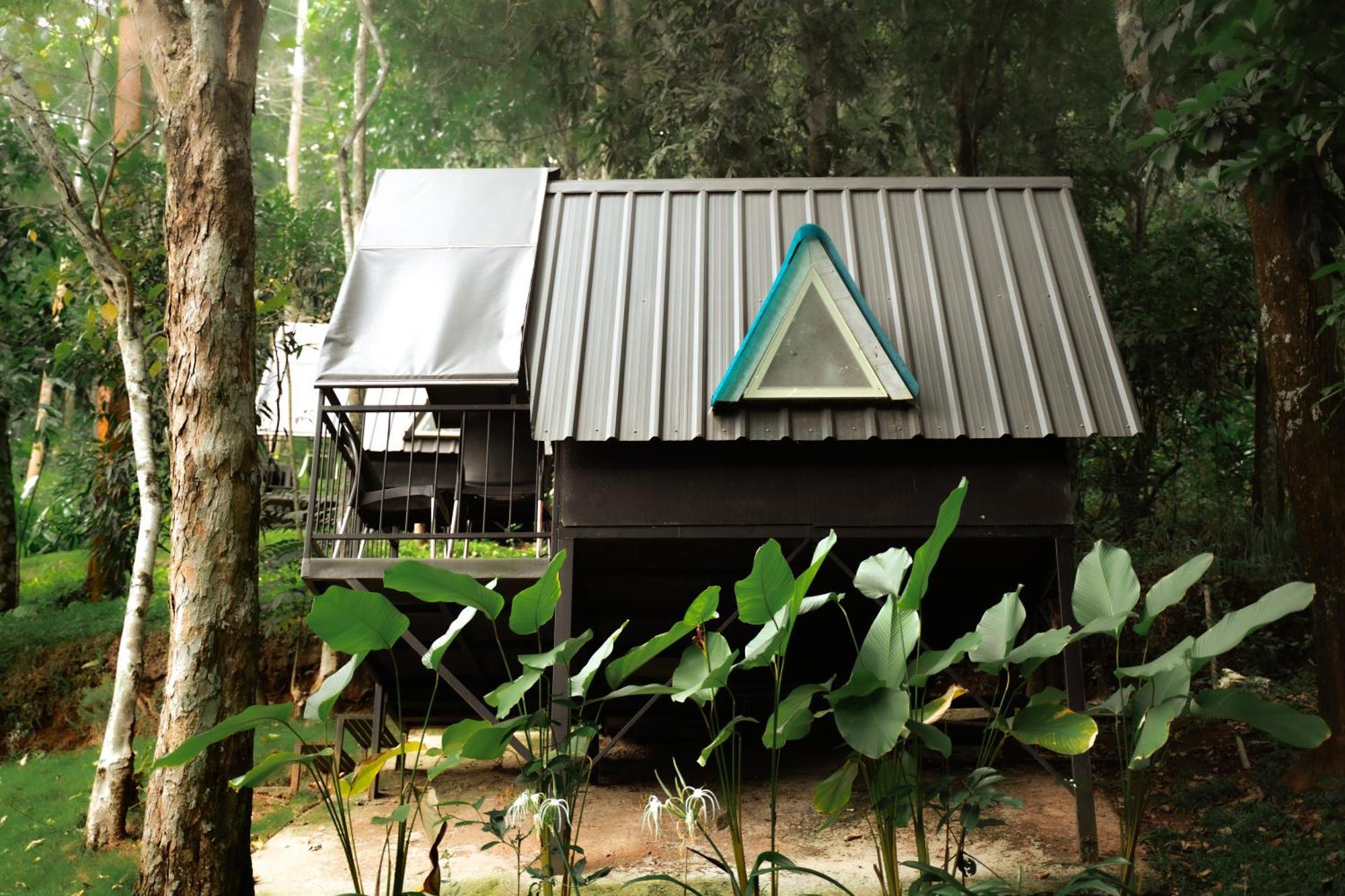Garden Of Eden-Thottam Munnar-Hiking And Camping Anachal Екстер'єр фото